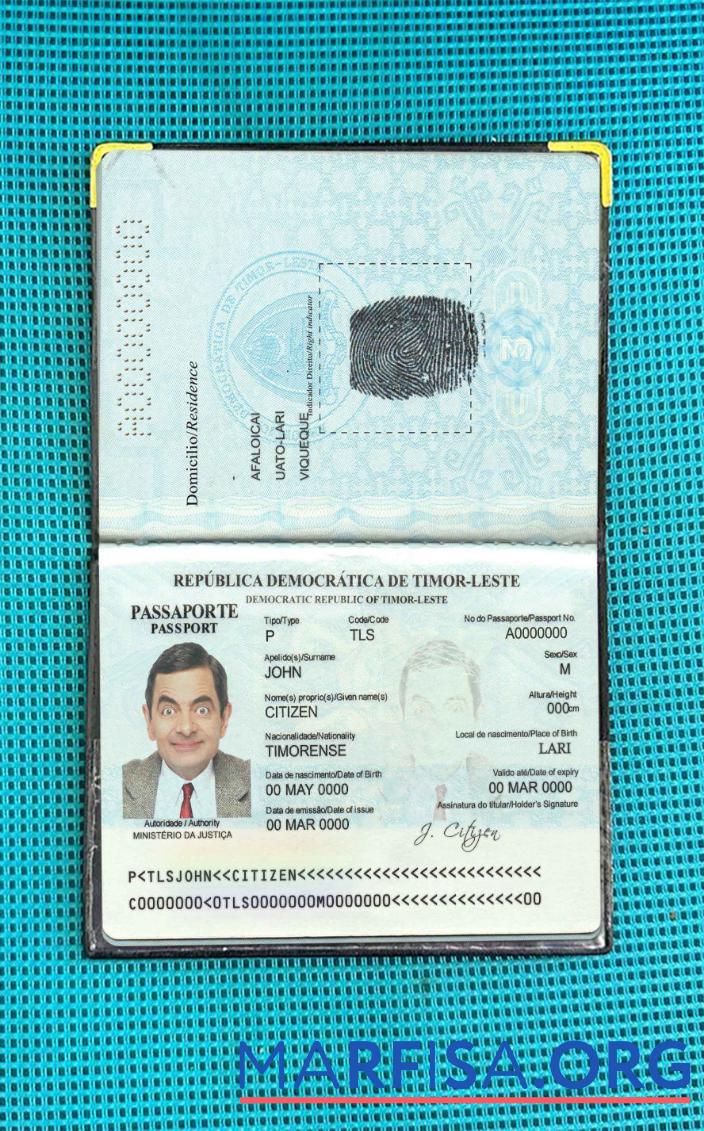Printable Timor Leste passport photo look sample